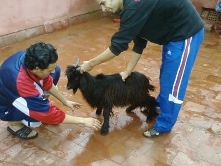 yahya et rachid a 3id el adha