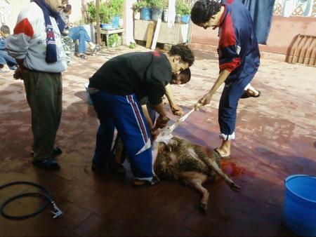 yahya et rachid a 3id el adha