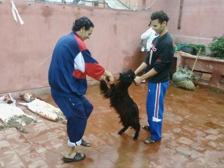 yahya et rachid a 3id el adha